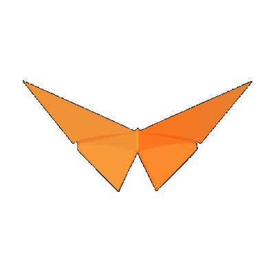Butterfly Flap